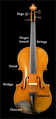 violin care